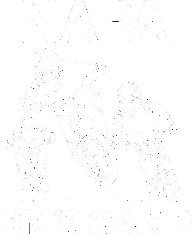 Napa BMX Camp